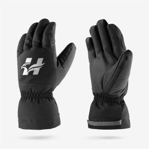 Winter Gloves
